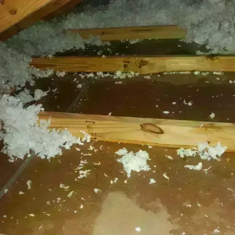 Attic Water Damage in Fruitvale, CO